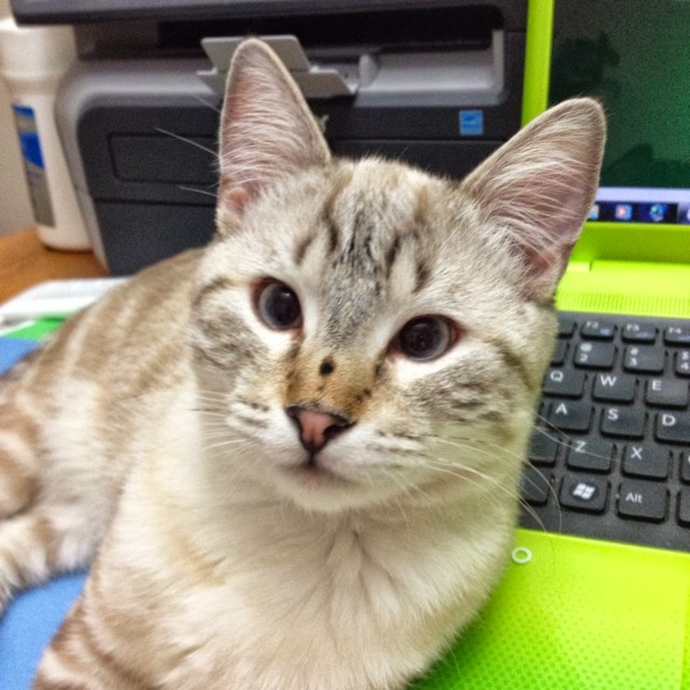 Meet your Posher, Kari